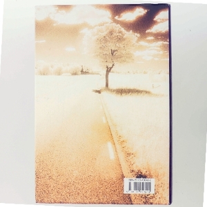 Lewis rejse : roman af Per Olov Enquist (Bog)