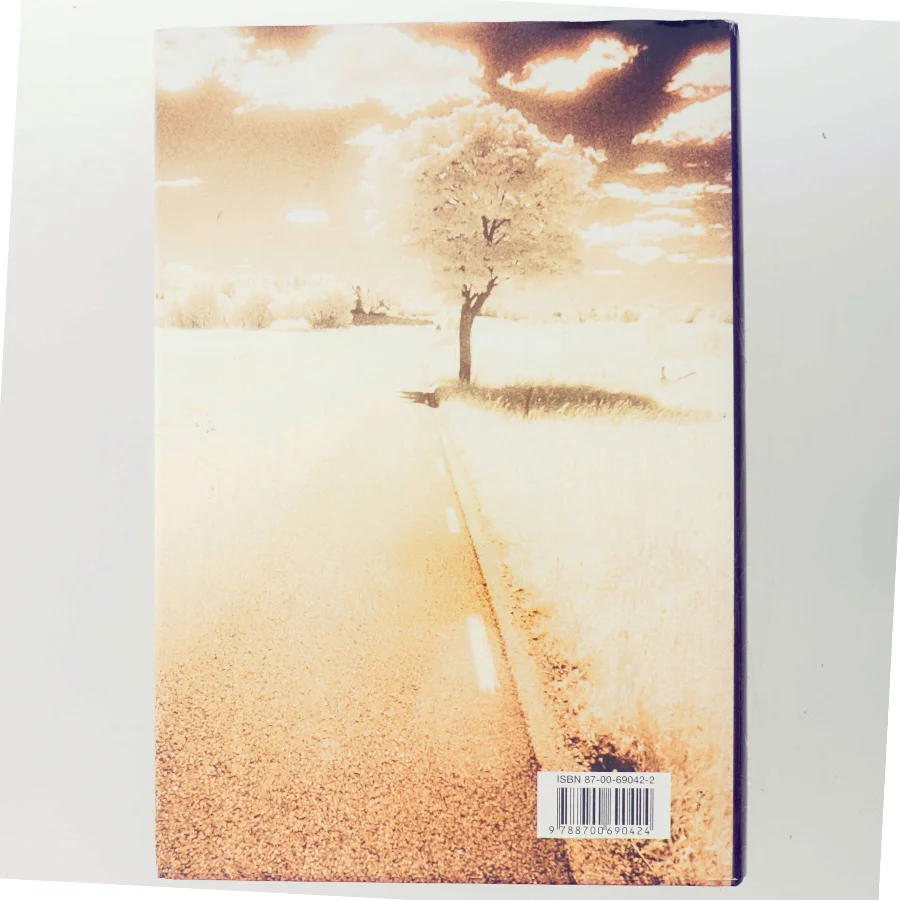 Lewis rejse : roman af Per Olov Enquist (Bog)