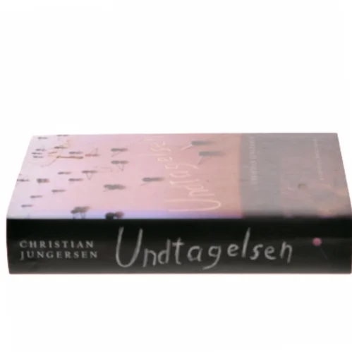 Undtagelsen : roman af Christian Jungersen (Bog)