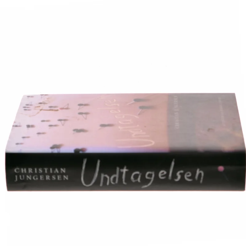 Undtagelsen : roman af Christian Jungersen (Bog)