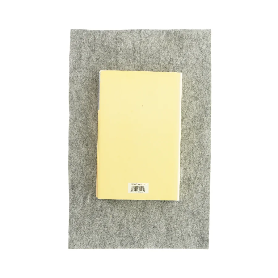 Fem minutter i himlen af Lisa Alther (bog)