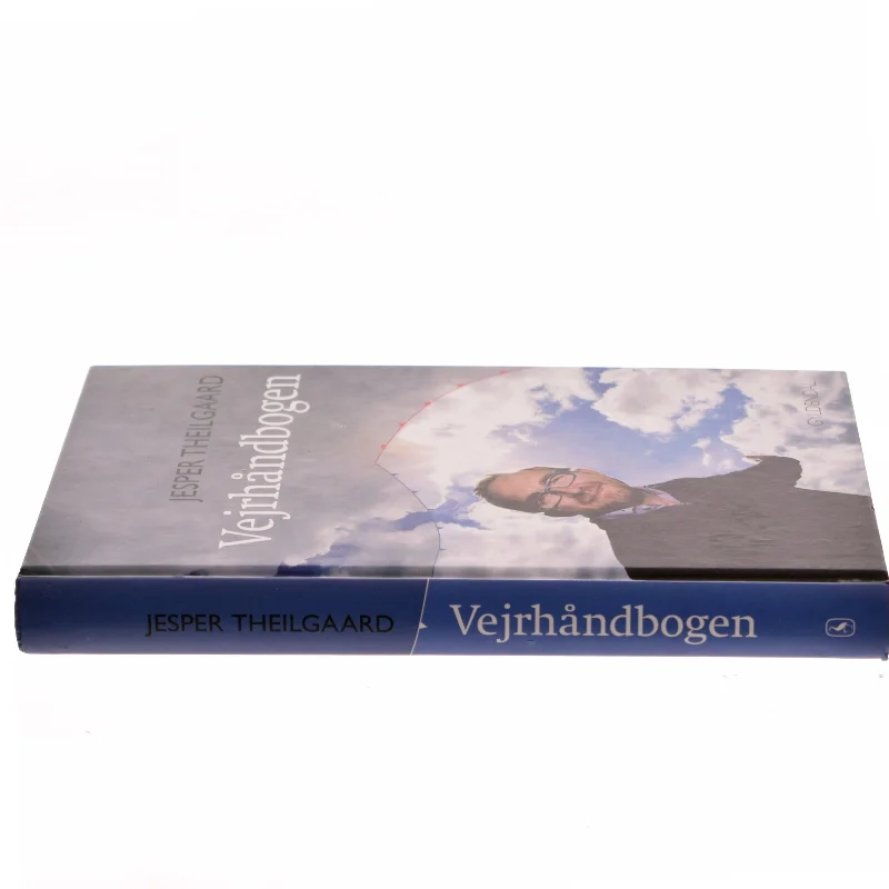 Vejrhåndbogen af Jesper Theilgaard (Bog)