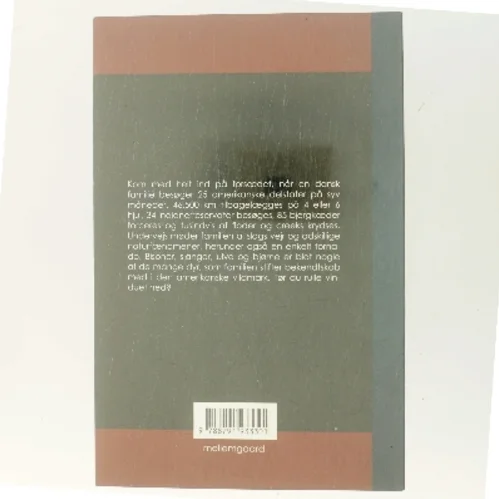 Med bisoner og tornadoer i horisonten : tips, tricks og gode historier fra en dansk families road trip i USA (Bog)