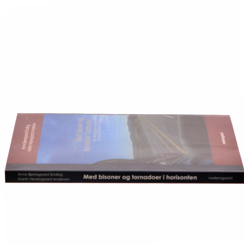 Med bisoner og tornadoer i horisonten : tips, tricks og gode historier fra en dansk families road trip i USA (Bog)