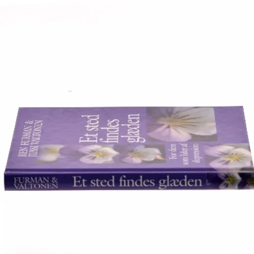 Et sted findes glæden af Ben Furman (Bog)