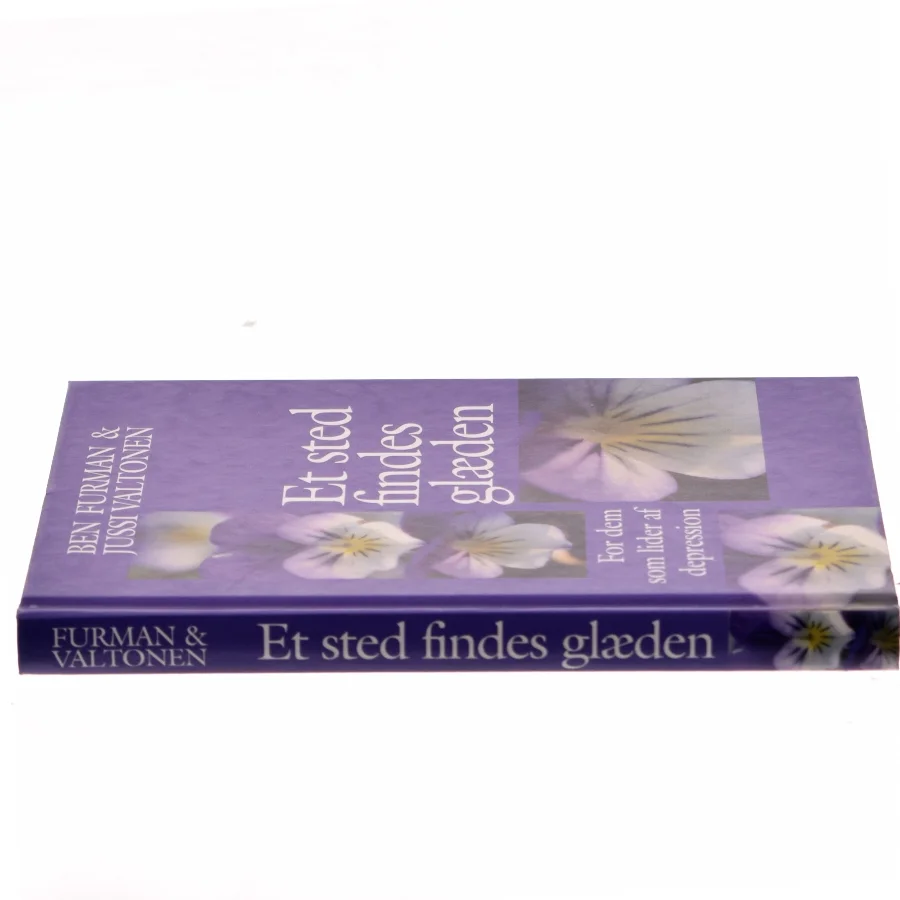 Et sted findes glæden af Ben Furman (Bog)