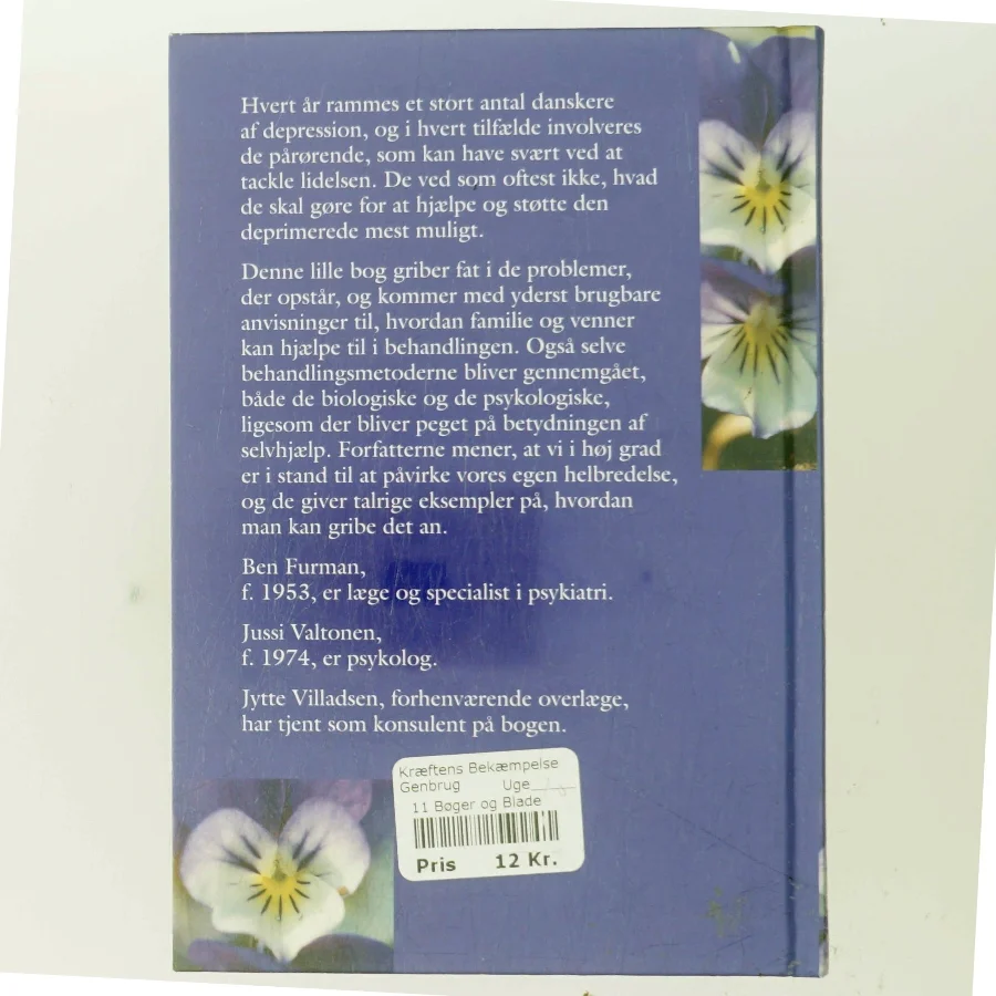 Et sted findes glæden af Ben Furman (Bog)