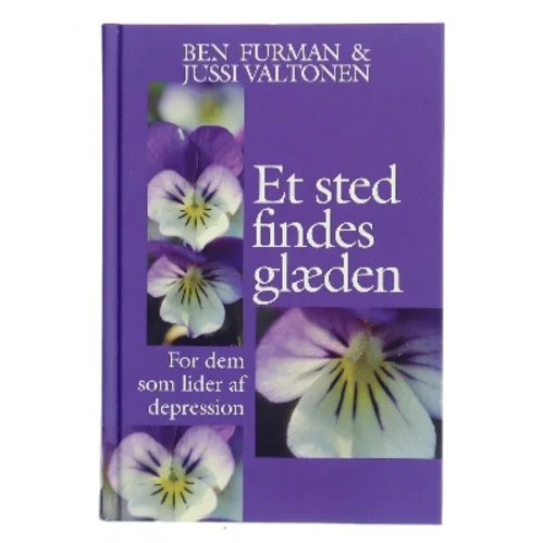Et sted findes glæden af Ben Furman (Bog)