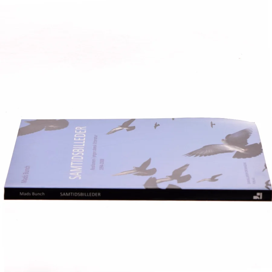 Samtidsbilleder : realismen i yngre dansk litteratur 1994-2008 af Mads Bunch (Bog)