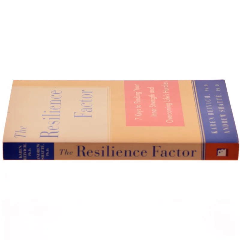 The Resilience Factor Bog