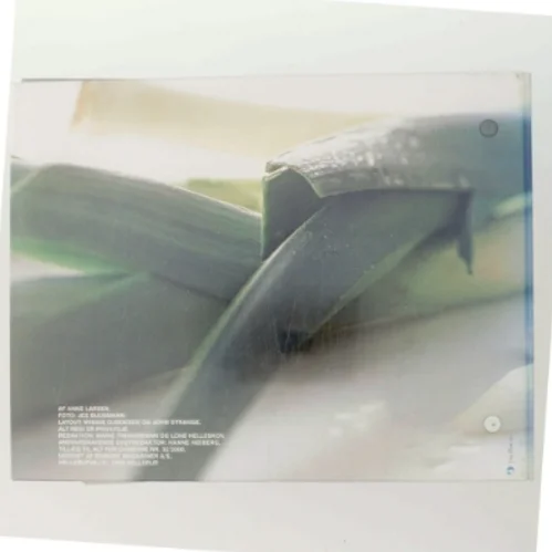 Spis dig slank af Anne Larsen (Bog)