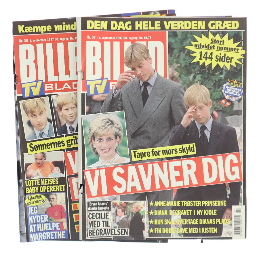Vi savner dig (Bog)
