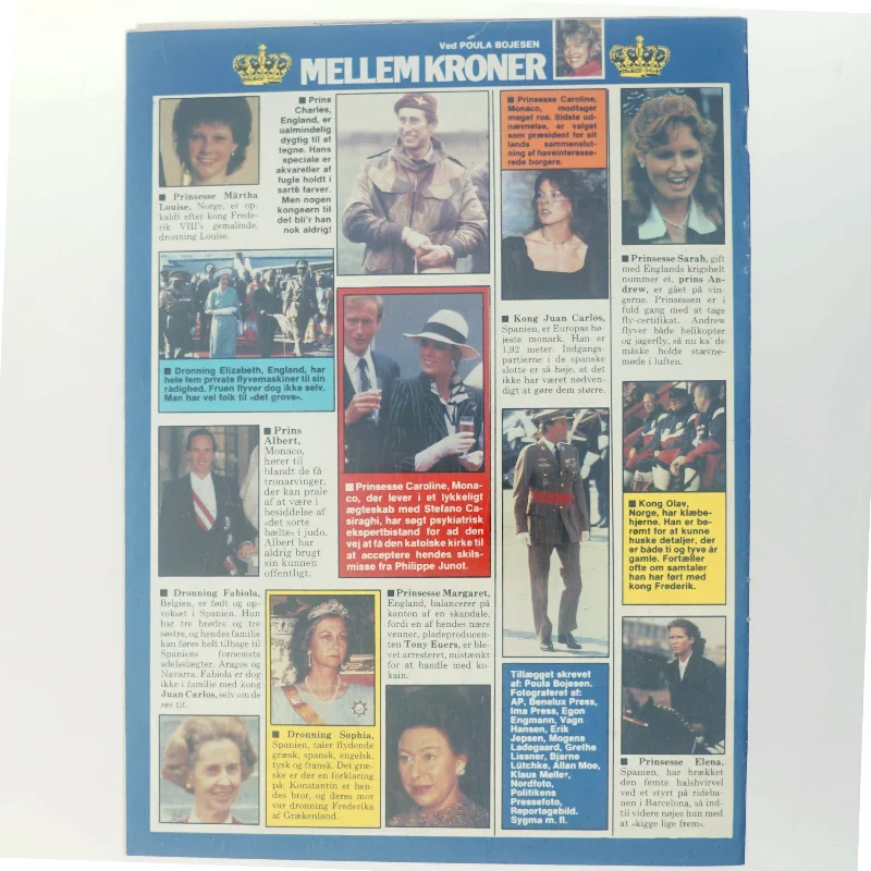 De arver Europas troner (Bog)