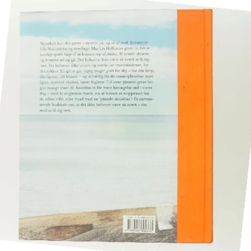 Til fods : verdens bedste motion af Mai-Lis Hellénius (Bog)