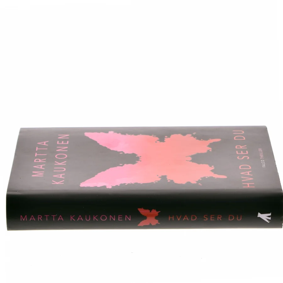 Hvad ser du af Martta Kaukonen (f. 1976) (Bog)