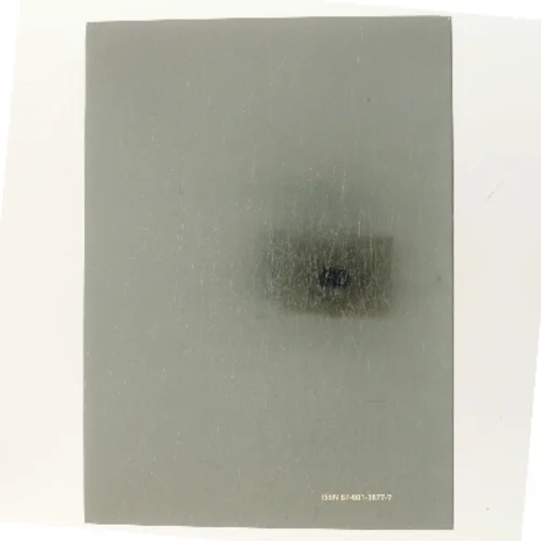 Danmark og Rusland i 500 år (Bog)