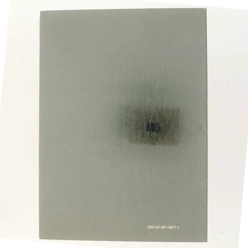 Danmark og Rusland i 500 år (Bog)