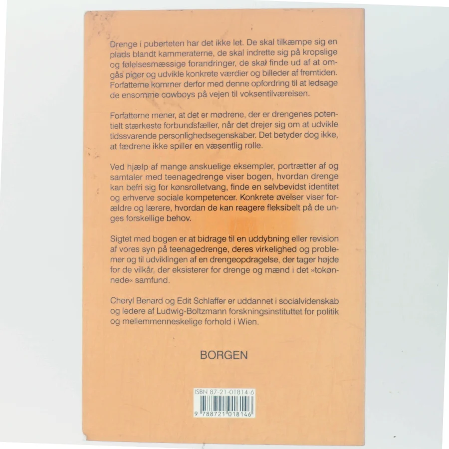 Ensomme cowboys : drenge i puberteten (Bog)