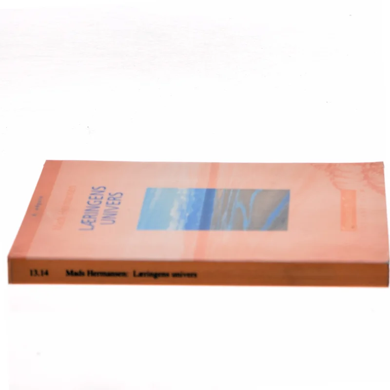 Læringens Univers af Mads Hermansen (Bog)