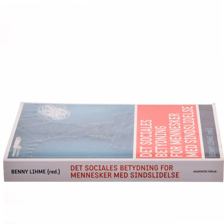 Det sociales betydning for mennesker med sindslidelse af Benny Lihme (Bog)