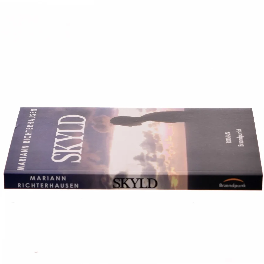Skyld : roman af Mariann Richterhausen (f. 1980) (Bog)