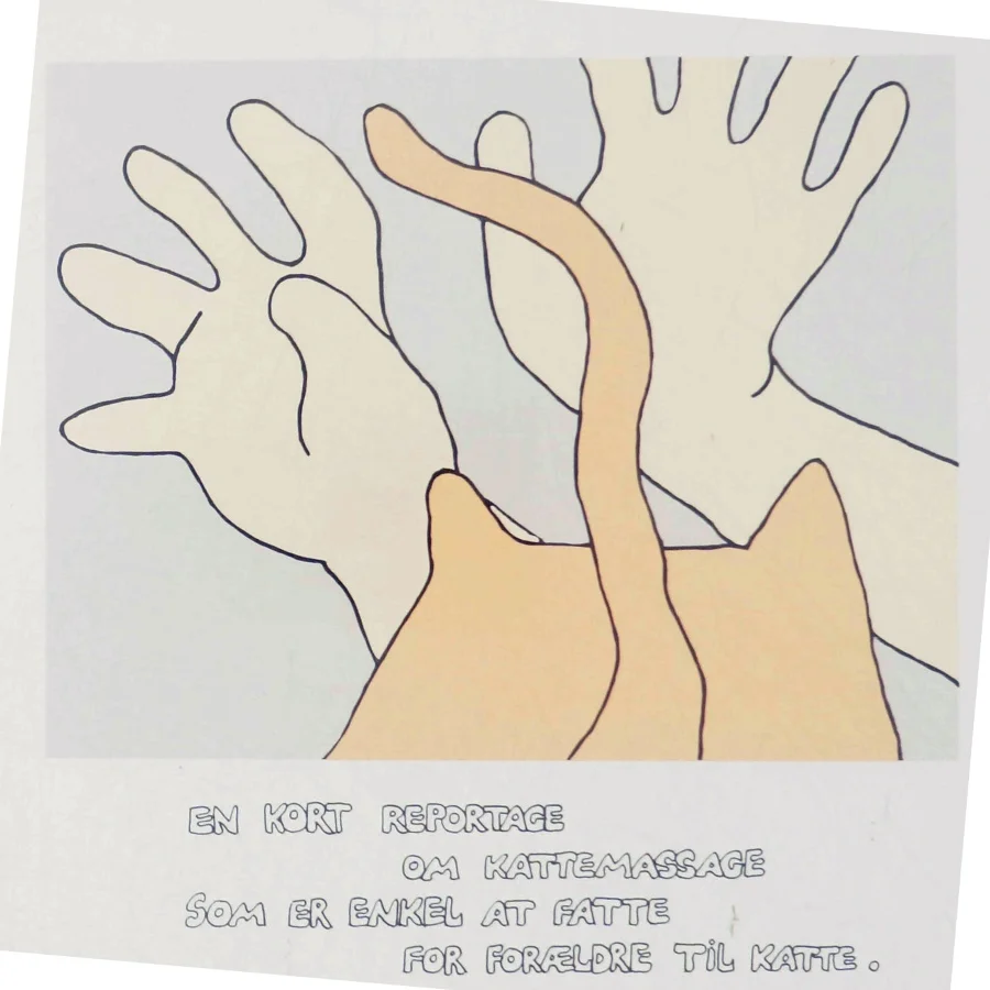 Sådan masserer du din kat bog af Johannes Møllehave 