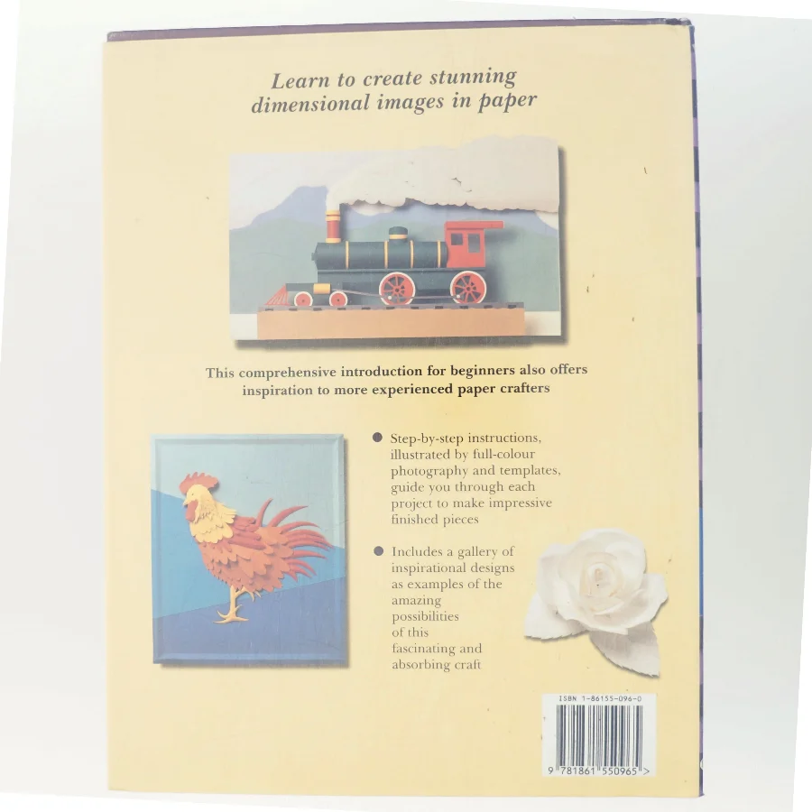 The Art and Craft of Paper Sculpture af Paul Jackson (Bog)