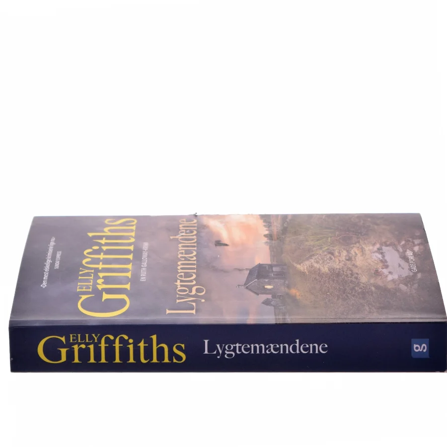 Lygtemændene af Elly Griffiths (Bog)