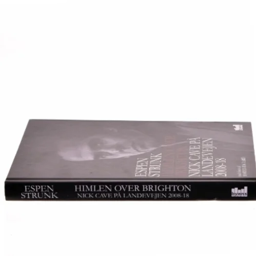 Himlen over Brighton : Nick Cave på landevejen 2008-18 af Espen Strunk (Bog)