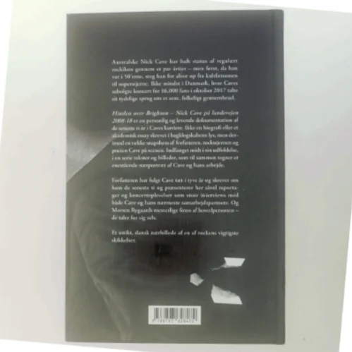 Himlen over Brighton : Nick Cave på landevejen 2008-18 af Espen Strunk (Bog)