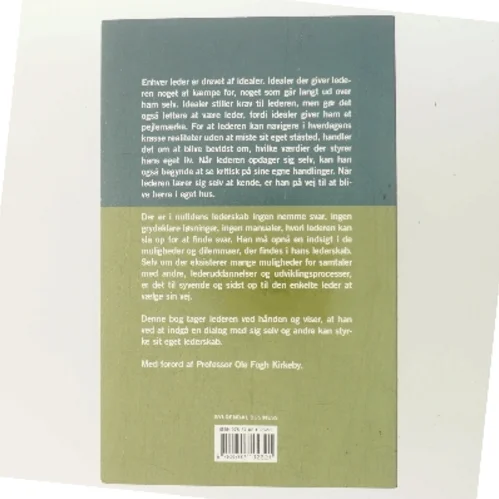 Smukke idealer og krasse realiteter : nyt perspektiv på det personlige lederskab af Poula Helth (Bog)