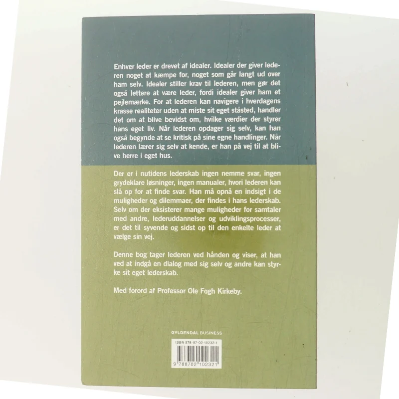 Smukke idealer og krasse realiteter : nyt perspektiv på det personlige lederskab af Poula Helth (Bog)