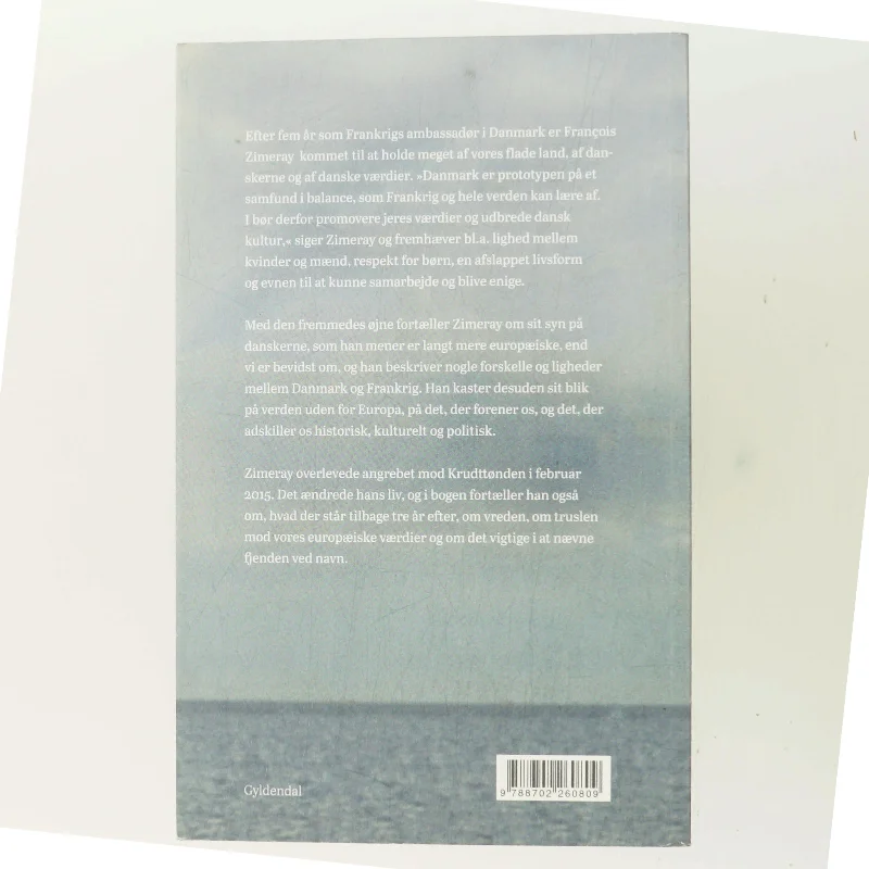 Med franske øjne : en samtale med Franc̨ois Zimeray af Karin Mørch (Bog)