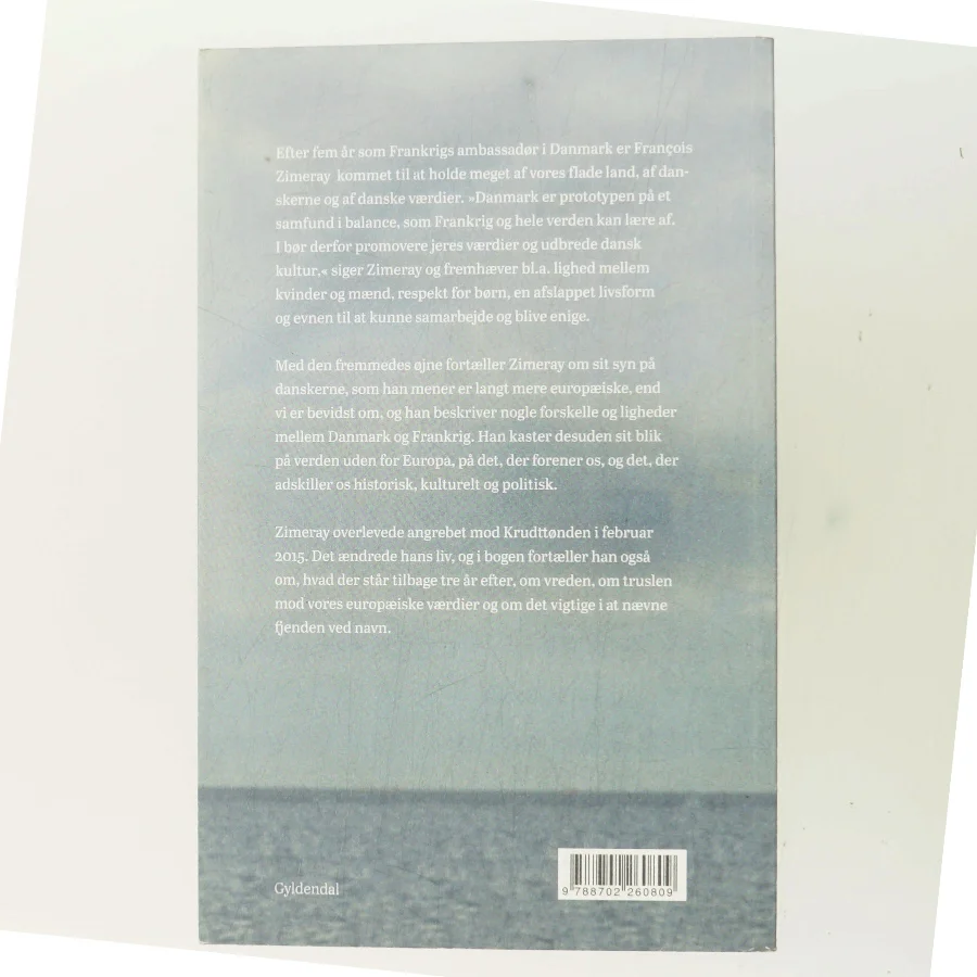 Med franske øjne : en samtale med Franc̨ois Zimeray af Karin Mørch (Bog)