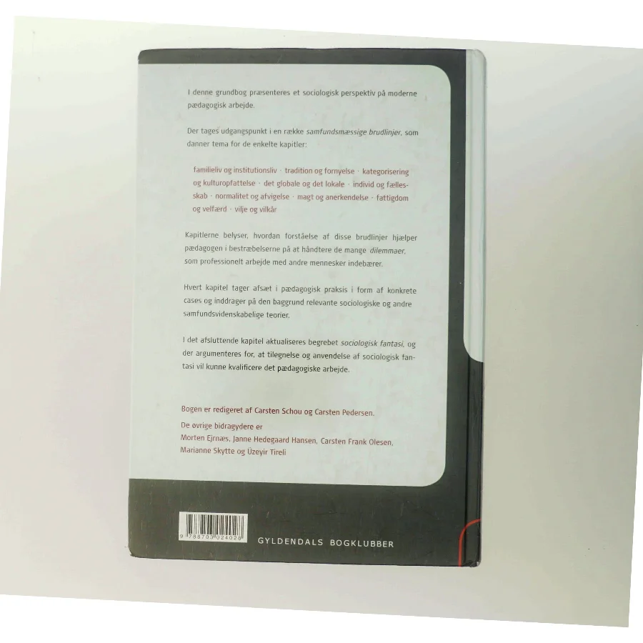 Samfundet i pædagogisk arbejde (Bog)