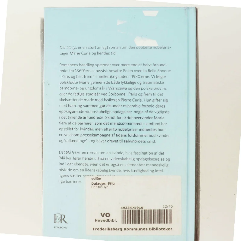 Det blå lys af Stig Dalager (Bog)