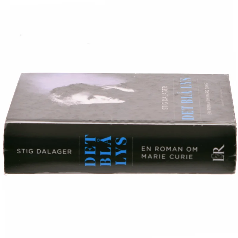 Det blå lys af Stig Dalager (Bog)