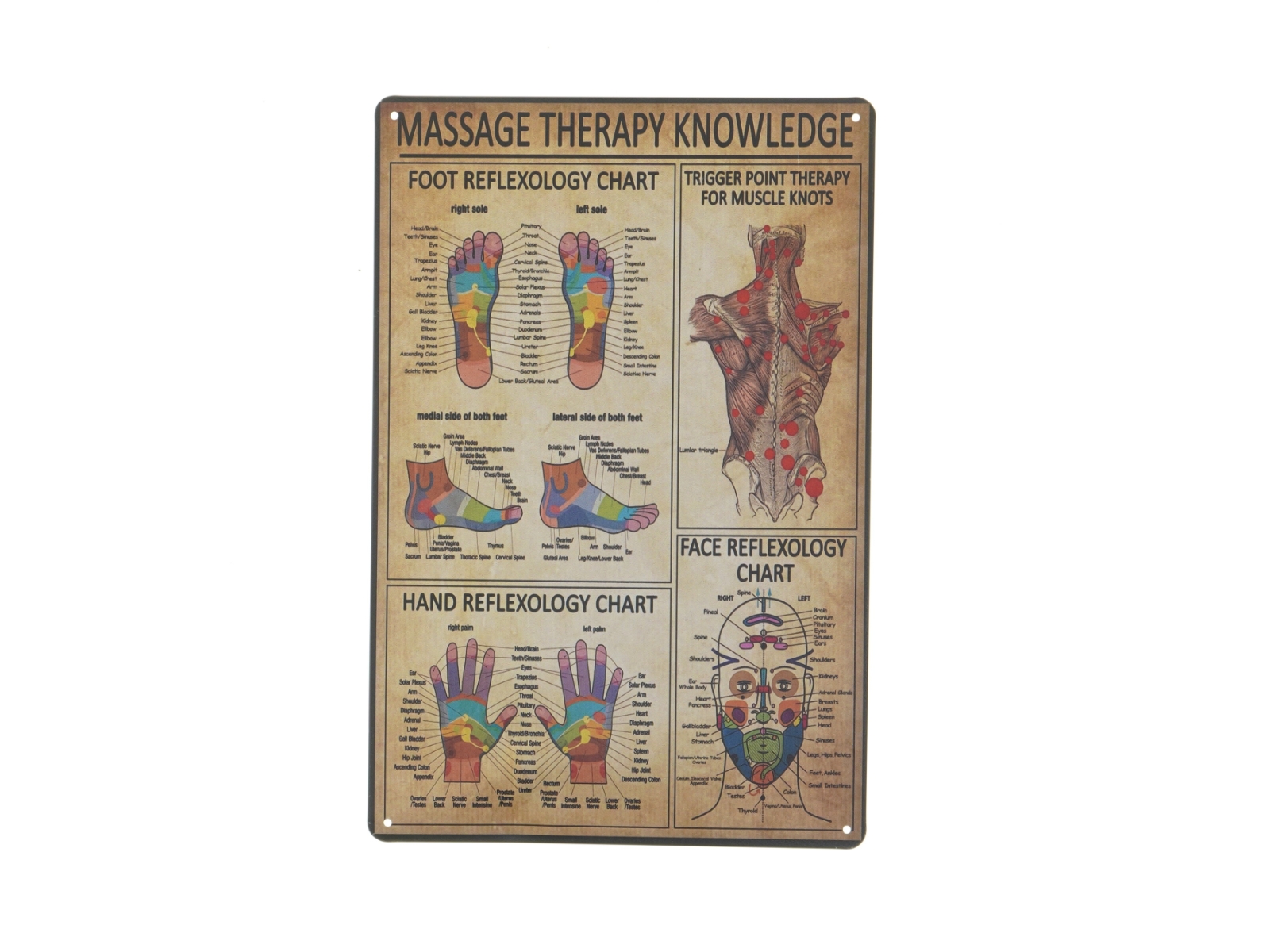 Massage terapi viden metal skilt (str. 30x20 cm)