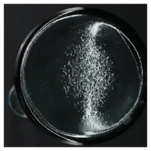 Glasflaske med kork prop (str. H. 43 cm. ø. 10 cm)