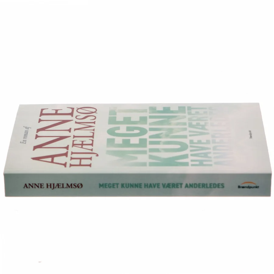 Meget kunne have været anderledes : roman af Anne Hjælmsø (Bog)