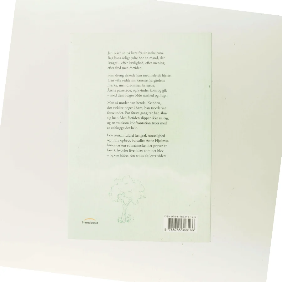 Meget kunne have været anderledes : roman af Anne Hjælmsø (Bog)