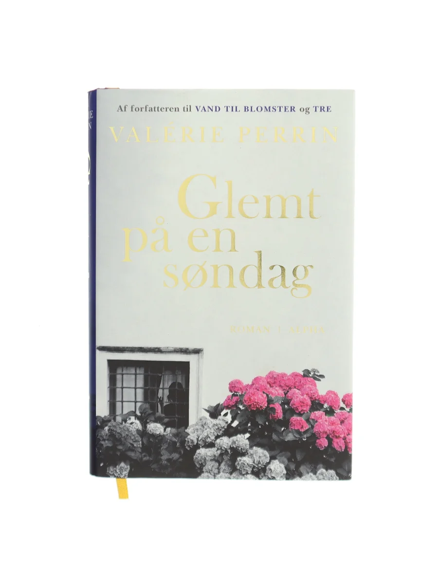 Forsiden af Glemt på en søndag af Valérie Perrin