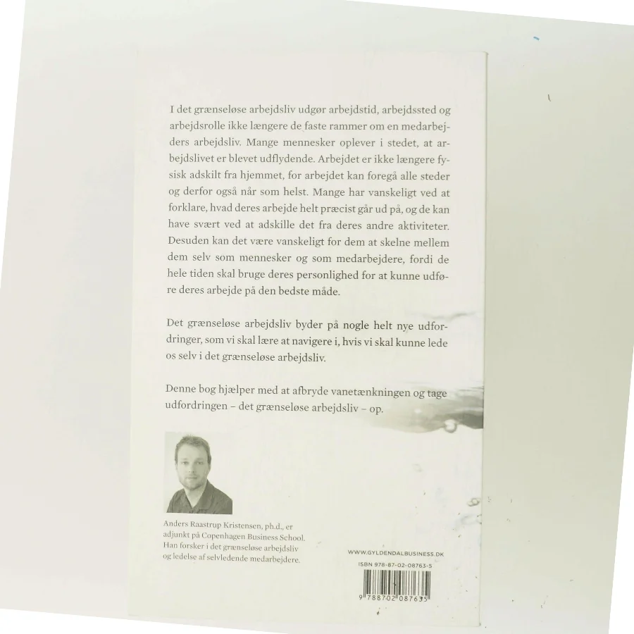 Det grænseløse arbejdsliv : at lede de selvledende medarbejdere af Anders Raastrup Kristensen (Bog)