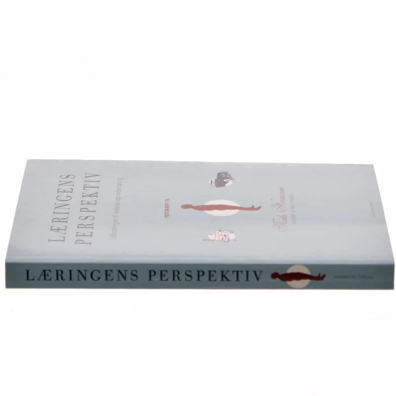Læringens perspektiv : udfordringer til ledelse og undervisning : festskrift til Mads Hermansen af Birgit Ryberg (Bog)