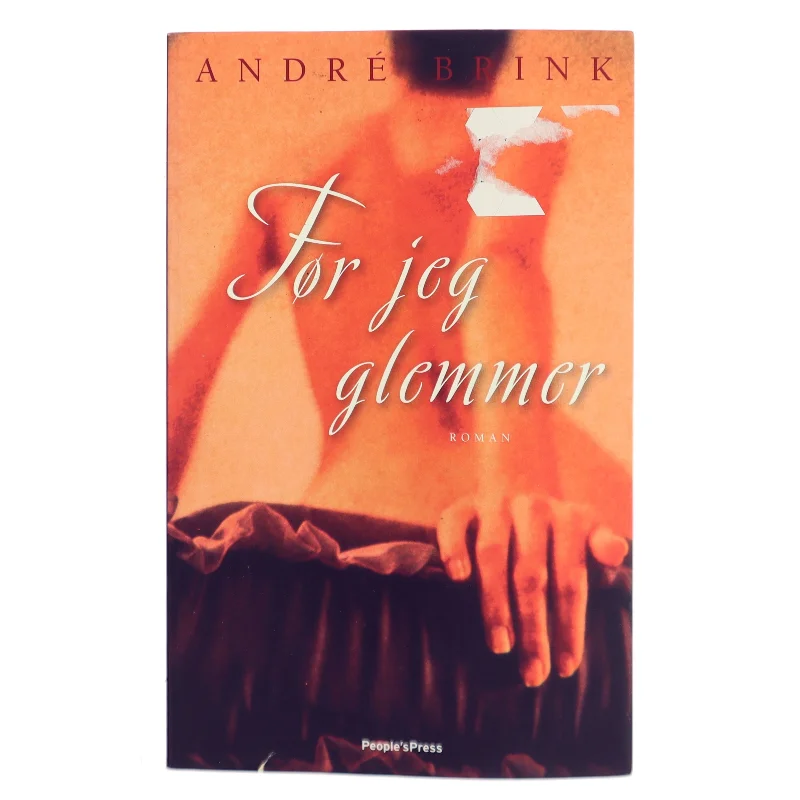 Før jeg glemmer : roman af André Brink (Bog)