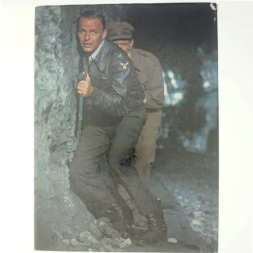 Sinatra af Alan Frank (Bog)