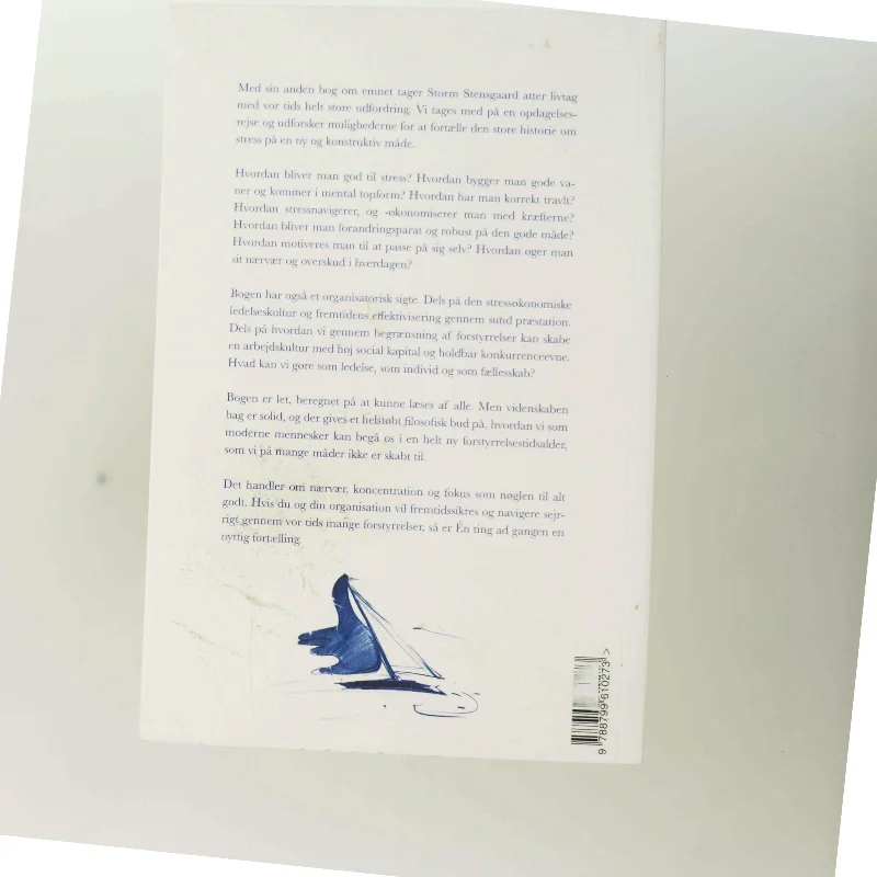 Én Ting ad Gangen af Storm Stensgaard (Bog)