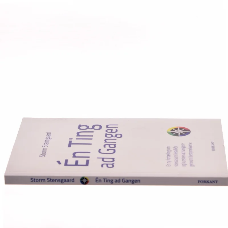 Én Ting ad Gangen af Storm Stensgaard (Bog)