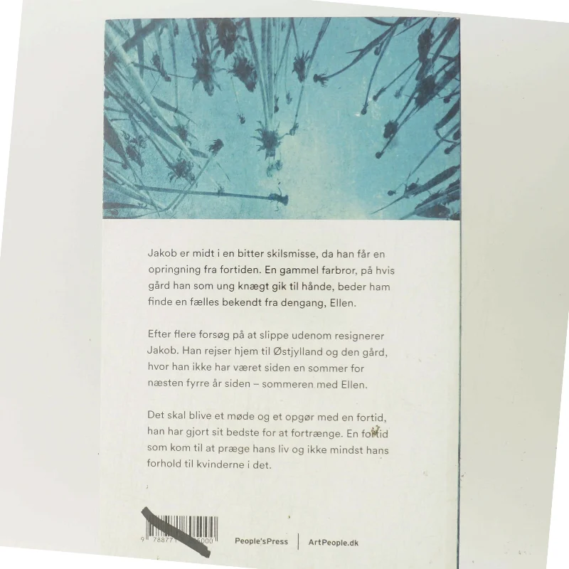 Sommeren med Ellen af Agnete Friis (Bog)