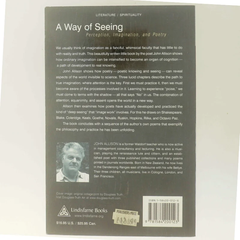 A Way of Seeing af John Allison (Bog)